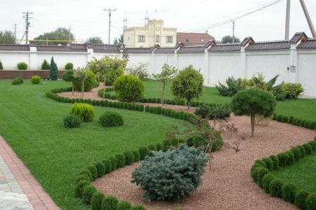 Озеленение участка в Краснодаре